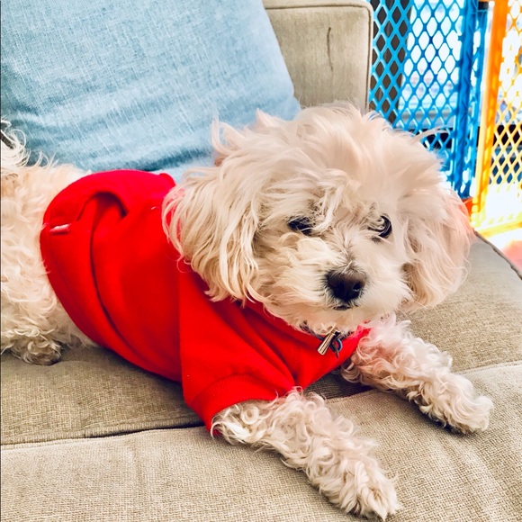 Reddy Love is a 4 legged Word Hoodie xs - Picture 3 of 8